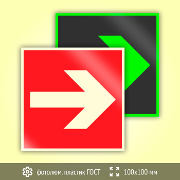 Знак F01-01 «Направляющая стрелка» (фотолюминесцентный пластик ГОСТ 34428-2018, 100х100 мм)